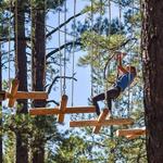 Flagstaff Extreme Adventure Course