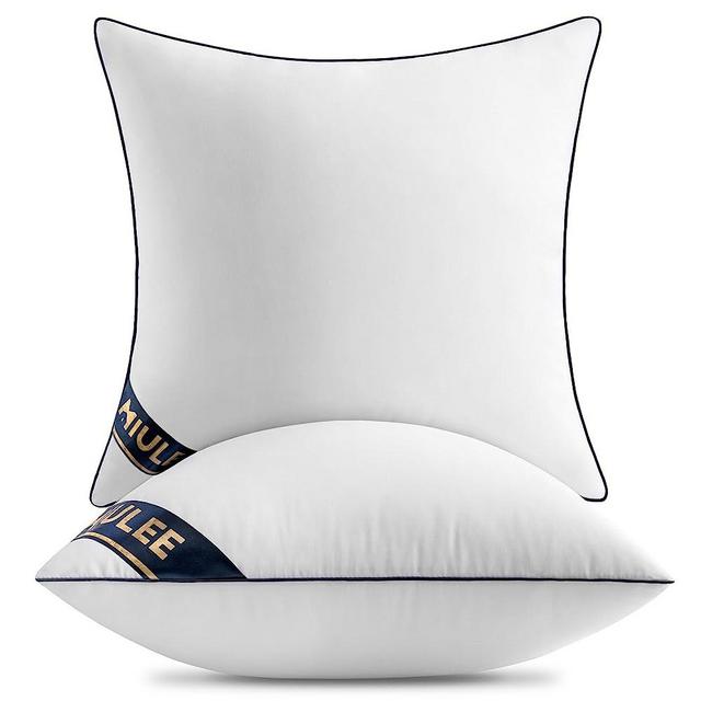 MIULEE 18x18 Pillow Inserts Set of 2 Throw Pillows 18 Inch Premium Down Alternative Pillow Inserts Decorative Pillow Stuffer for Sofa, Couch (18x18 inch, Set of 2)