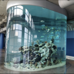 South Carolina Aquarium