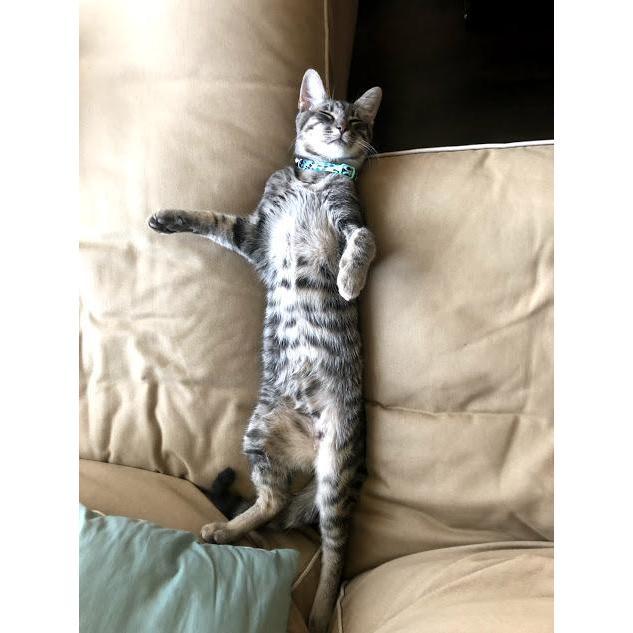 What a cutie.
