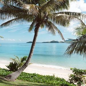 Honeymoon fund to Fiji 🌴