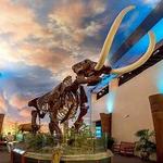 The Bishop Museum of Science and Nature