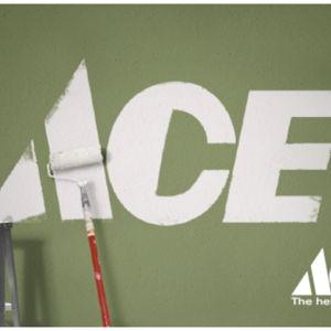Ace gift card