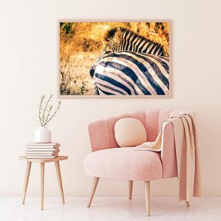 Zebras Wall Art
