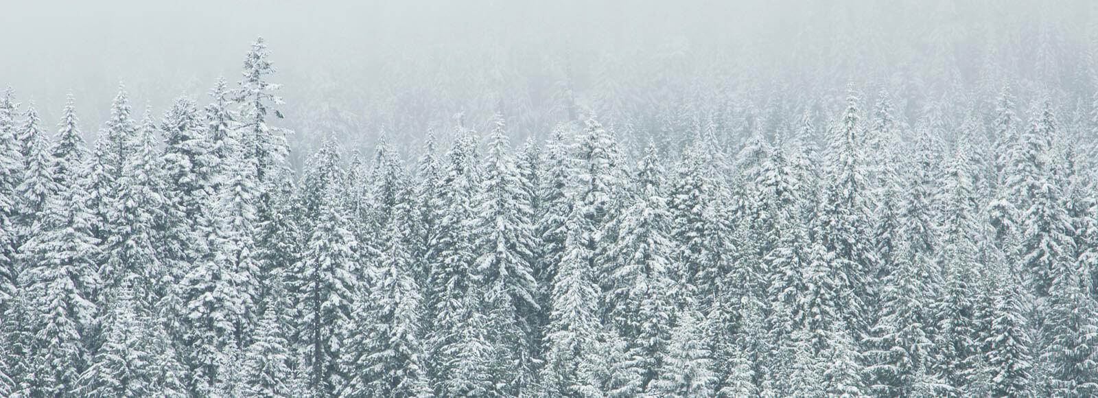 f2cdbf0d-8bea-4cc8-82cf-3ad3bbaa1cd8