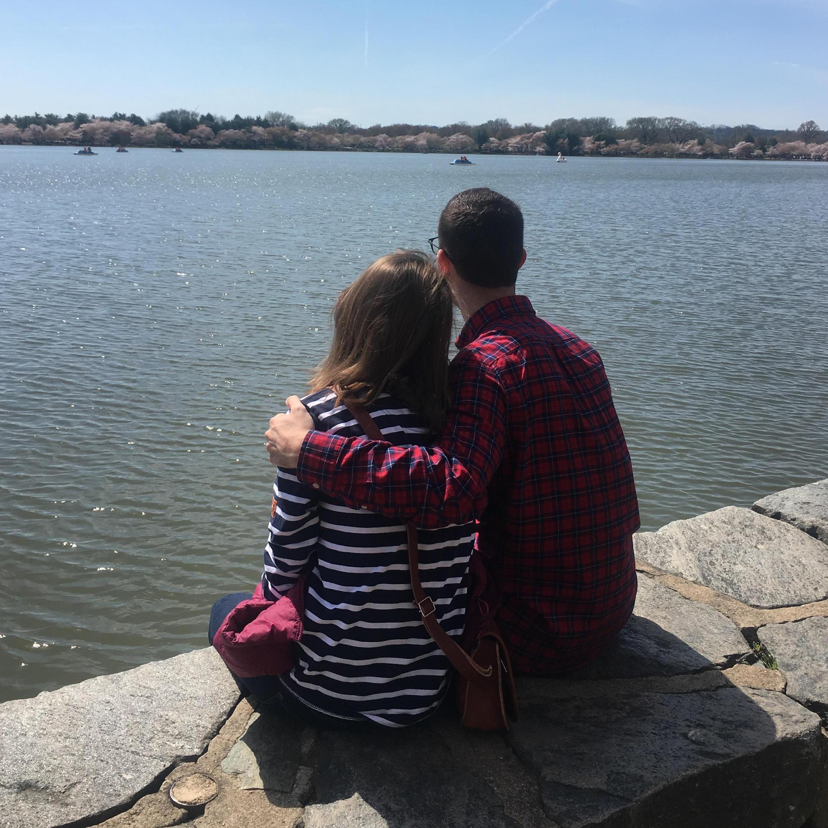 Looking out at DC's Tidal Basin during Cherry Blossom season