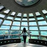 Seattle Aquarium