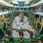 Centro Comercial El Tesoro