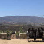 Vinamun Wine Tours