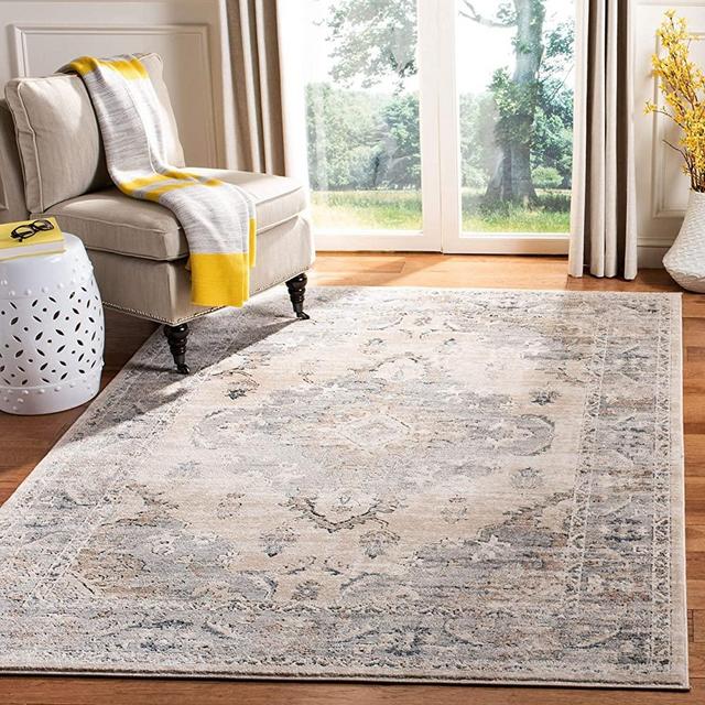 Safavieh Oregon Collection ORE898B Oriental Distressed Non-Shedding Stain Resistant Living Room Bedroom Area Rug, 8' x 10', Beige / Grey
