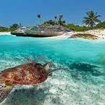 Playa del Carmen