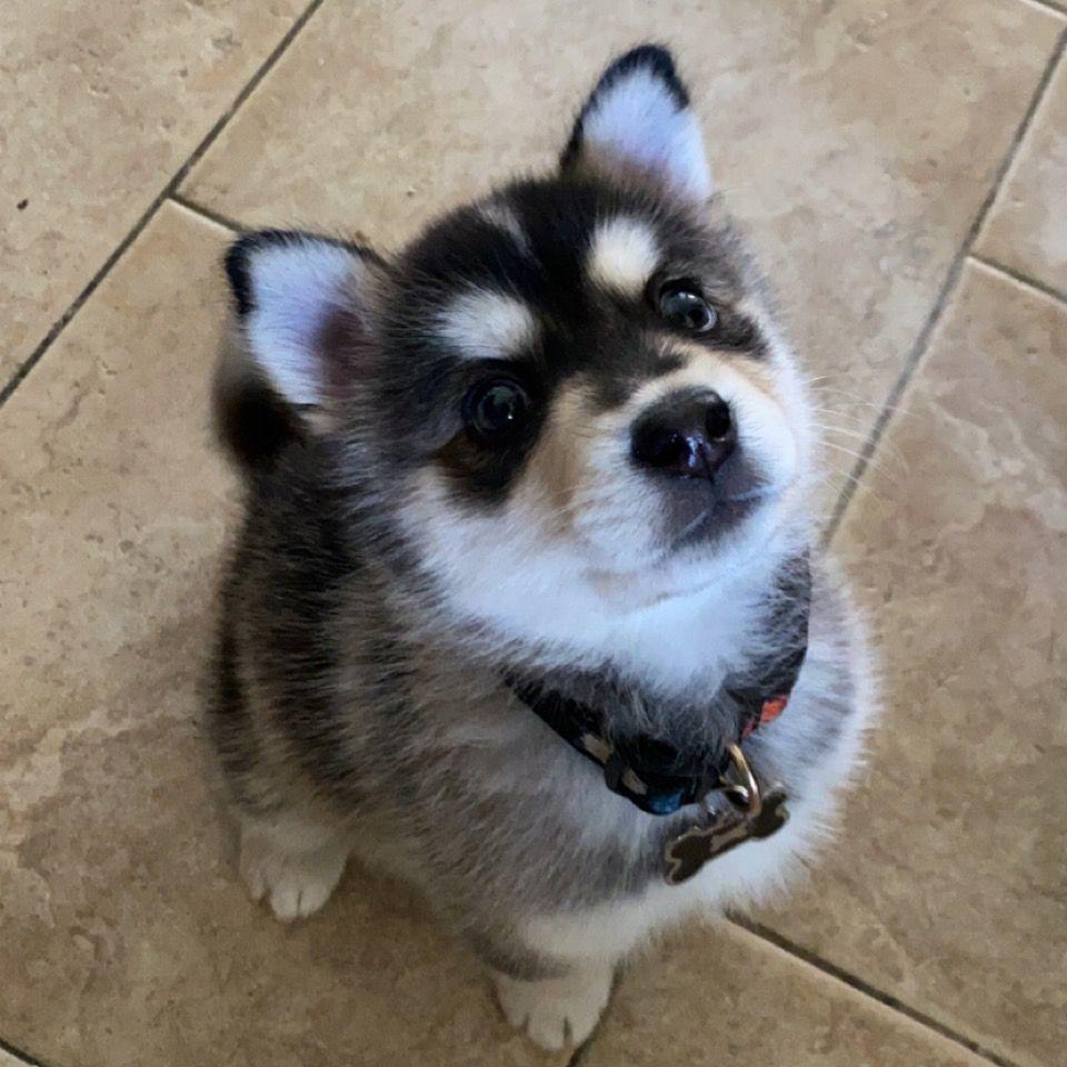 Allie as a baby
