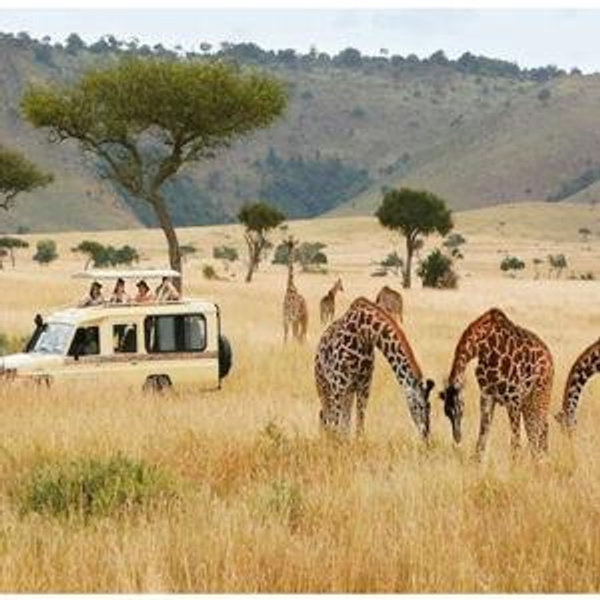 Honeymoon Fund (African Safari)