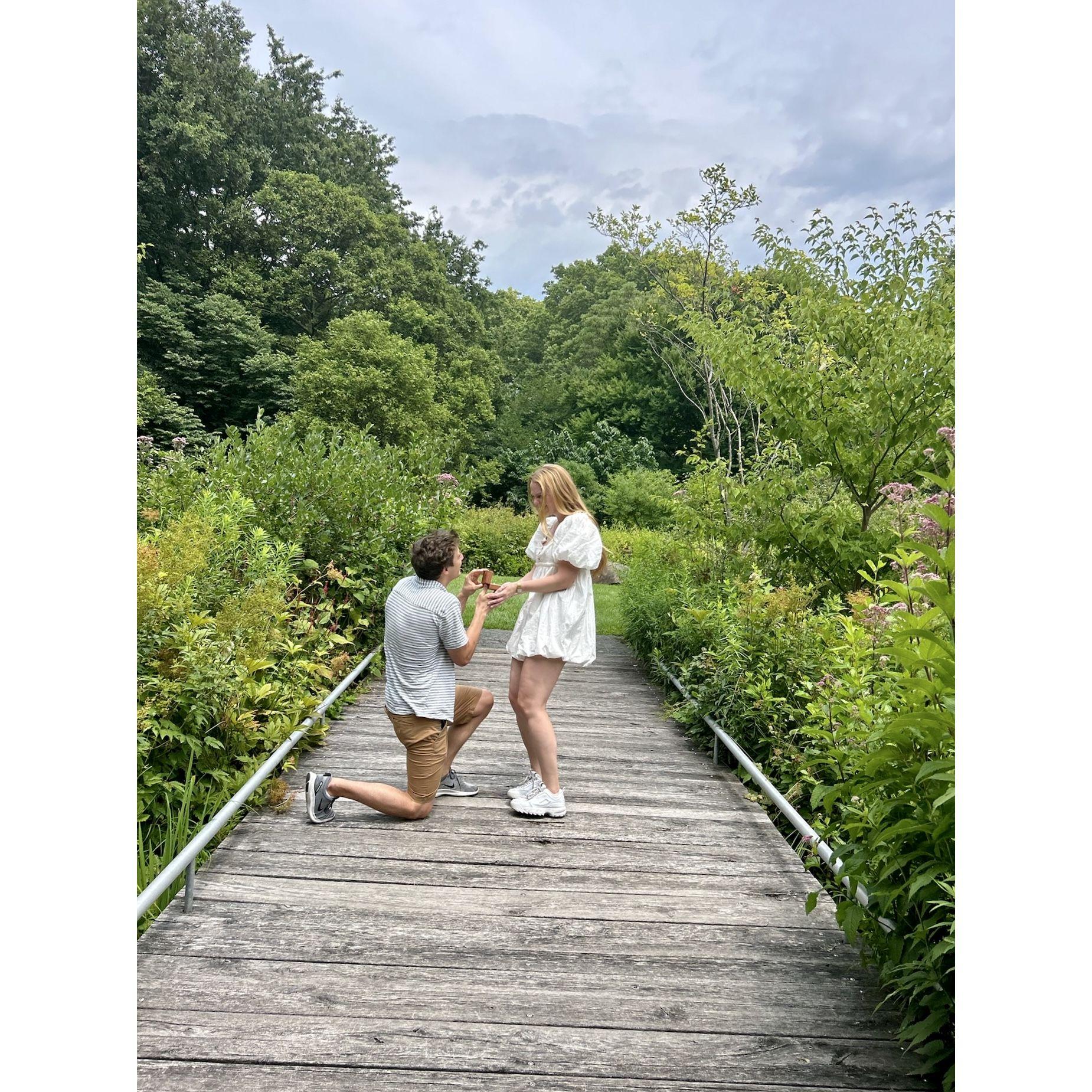 Michael proposed in the Brooklyn Botanical Gardens :)