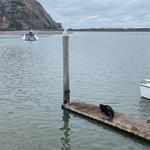 Morro Bay