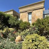 Darioush Winery