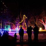Denver Zoo