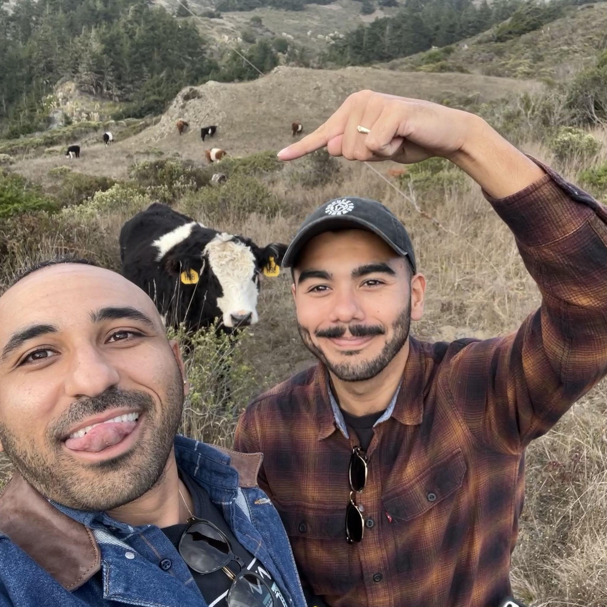 Patrick had ONE birthday wish last year: to see cows. And BOY did Mena make that happen!  Mena strategically planned a hike through a massive herd of (mostly friendly) cows on a trail along the Sonoma coast. This was one of many cow-ventures that weekend...