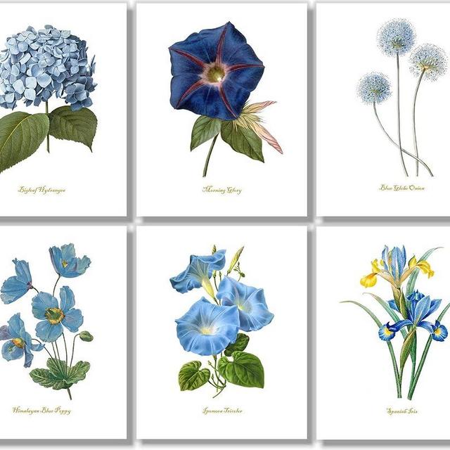 Blue Flower Wall Art - Vintage Floral Wall Decor - Botanical Prints - Watercolor Flower Pictures - Artwork For Bedroom, Living Room, Farmouse - Set of 6-11x14 - Unframed