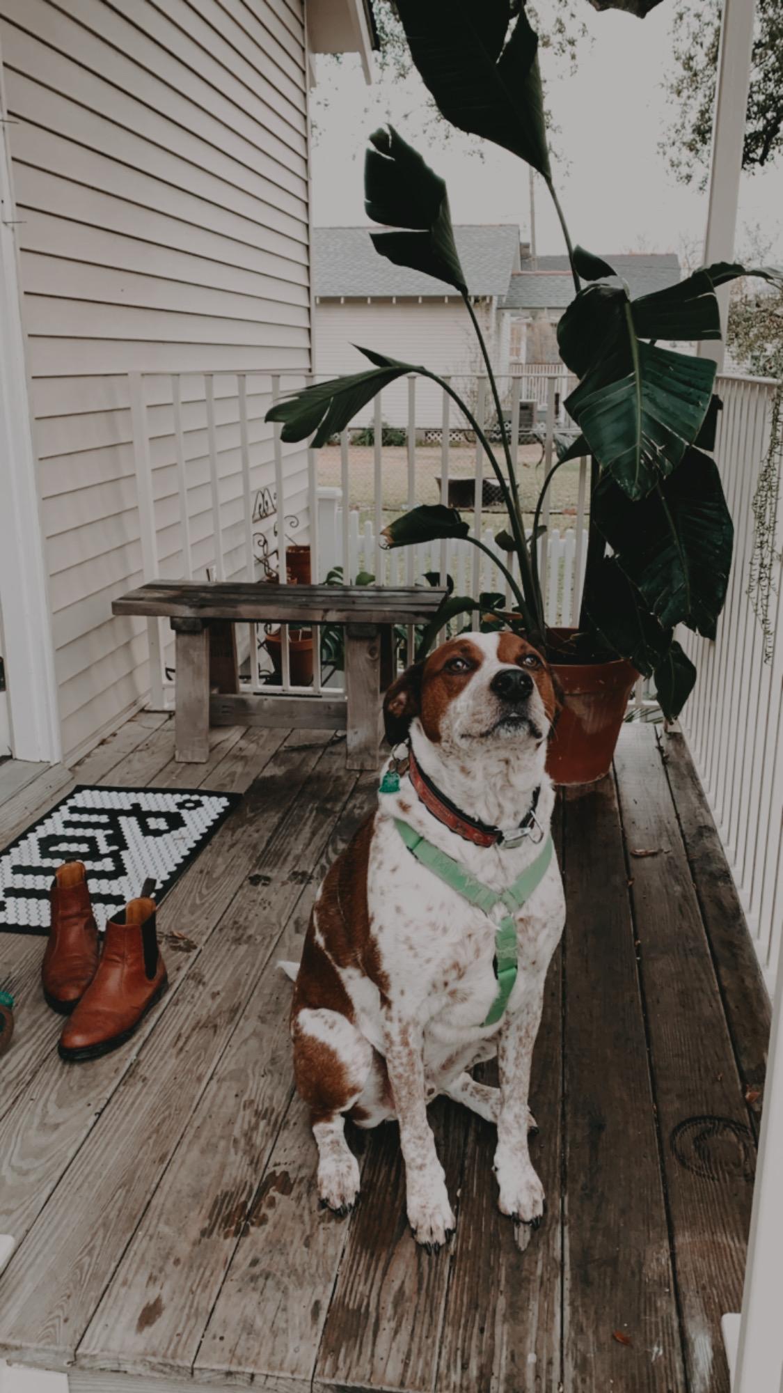 The Wedding Website of Katherine Gonzales and Cooper Barnett