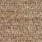 Camel Brown