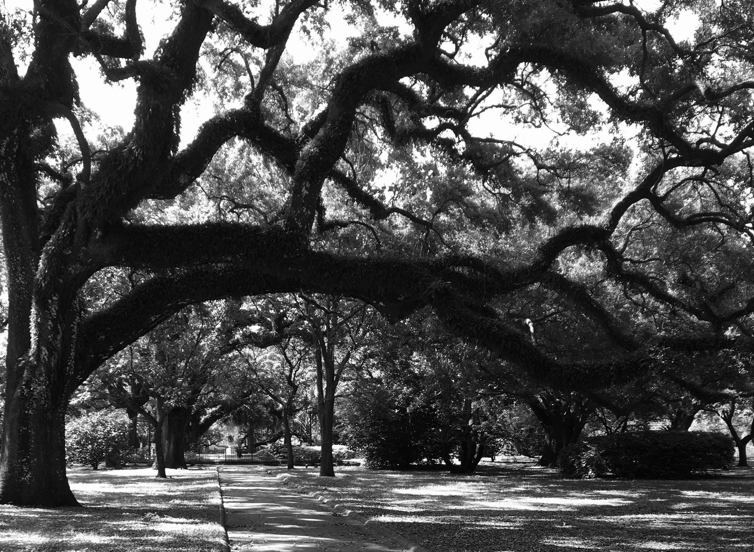The Wedding Website of Amber Cisco and Bryan Van Lew