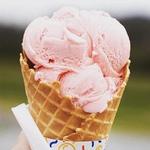 Mountain Fresh Creamery