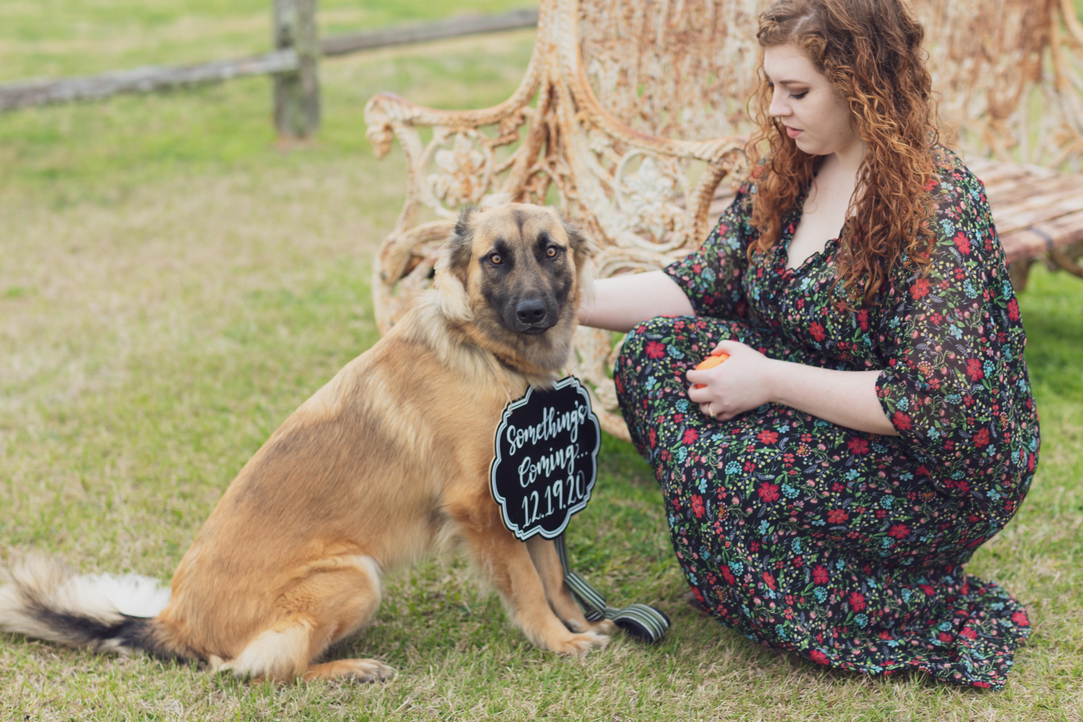 The Wedding Website of Katherine Clark and D’Artagnan Logsdon