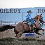 Gilroy Rodeo Festival