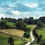 Watauga Lake Winery