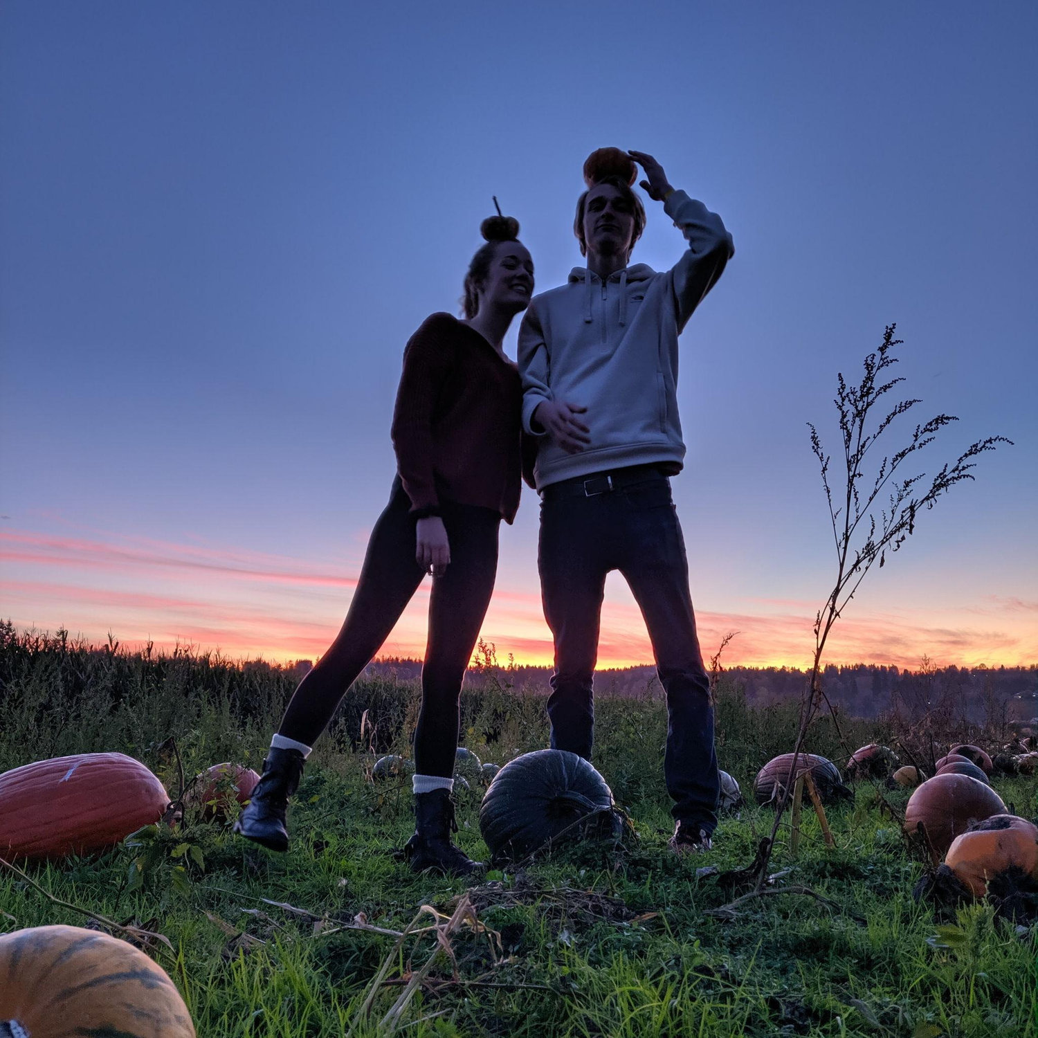First Washington Pumpkin patch