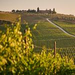 DISCOVERING THE CHIANTI AREA