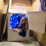 Meow Wolf