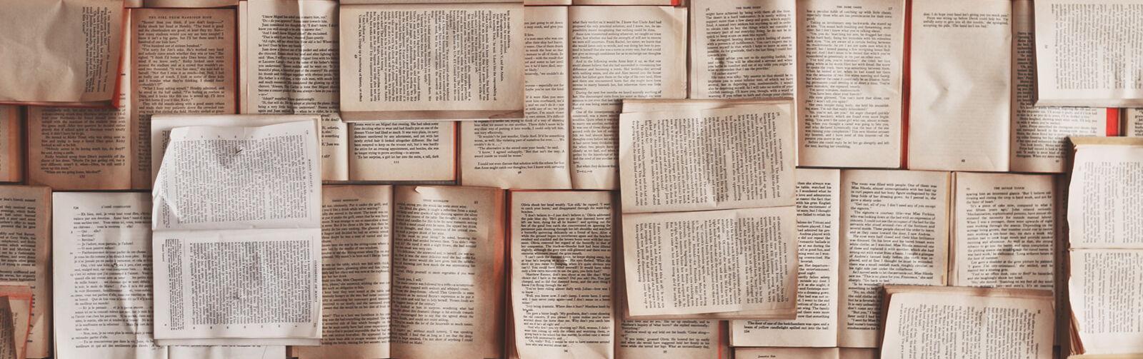 f2ec352e-85f7-4bc3-92ce-3bc8f12c30e5