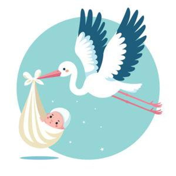 Bundle(s) of Joy- 2027- Venmo