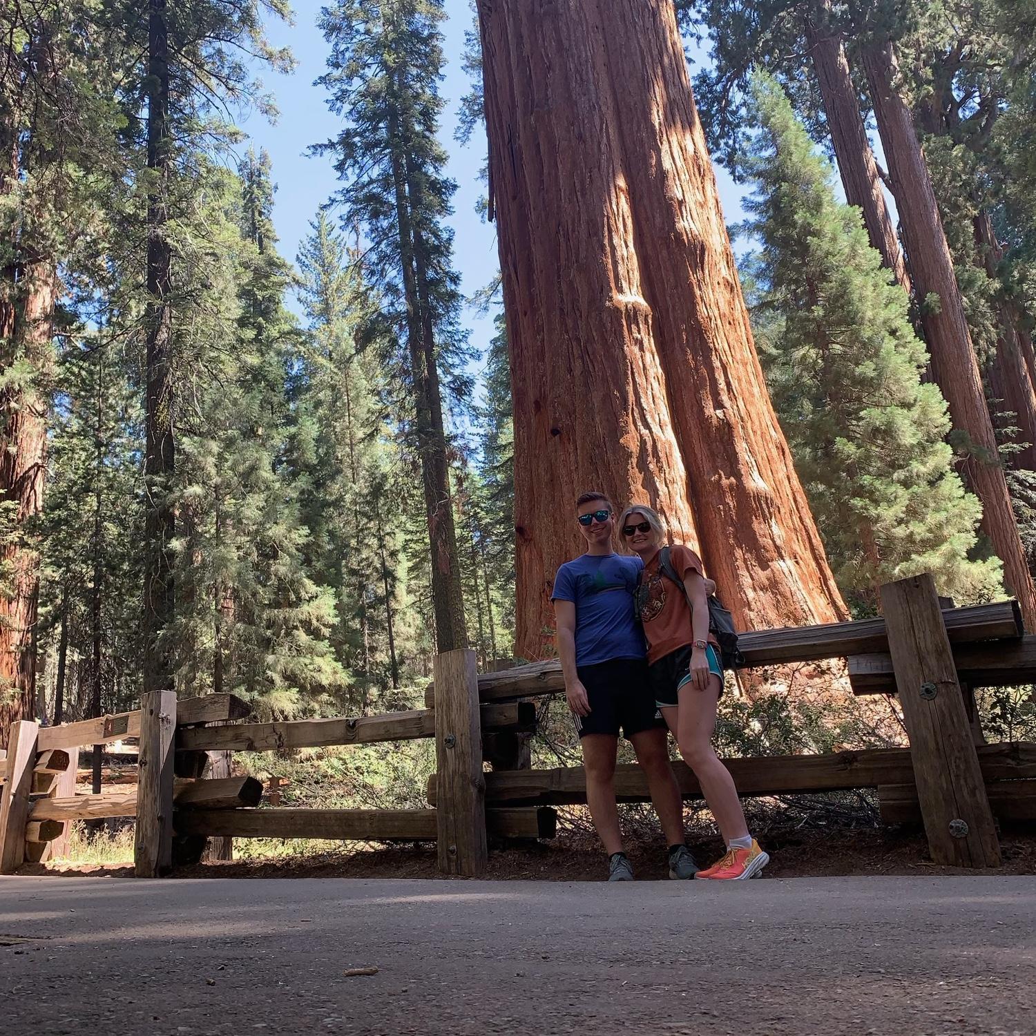 Sequoia National Park, September 2022