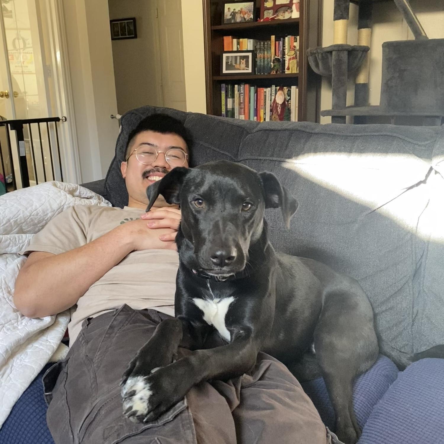 One of our foster dogs, Miley!