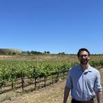 Hendry Winery