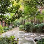 Amster Yard