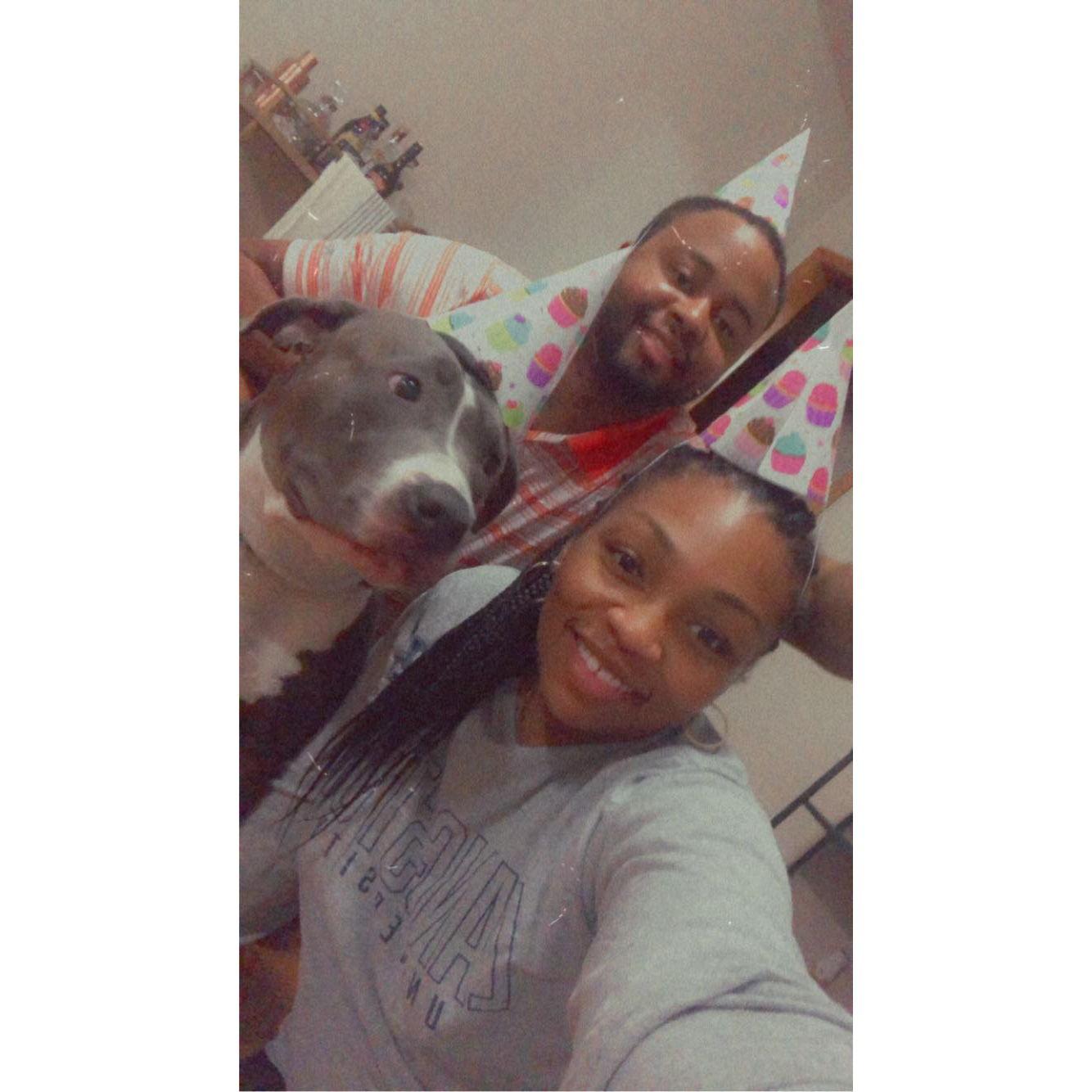 Sheba’s first birthday! 🥰