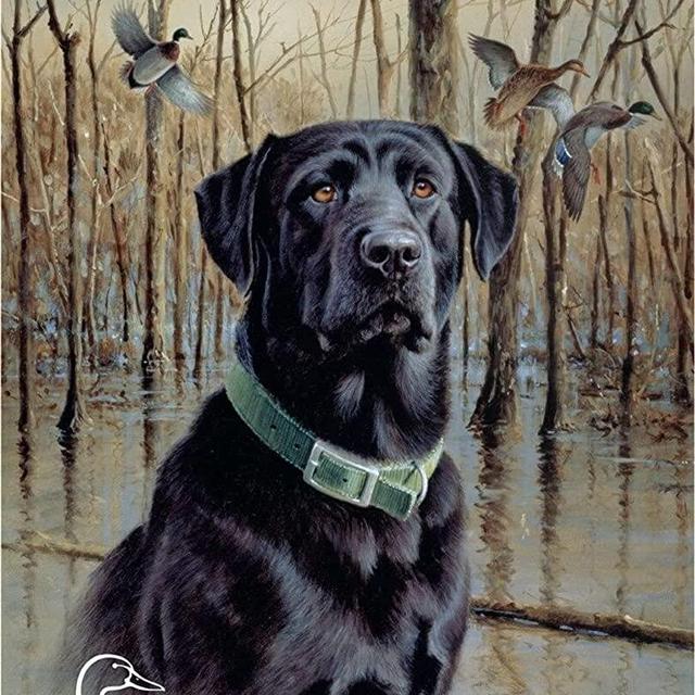 Desperate Enterprises Ducks Unlimited - Great Retrievers Tin Sign - Nostalgic Vintage Metal Wall Decor - Made in USA