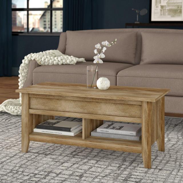 Riddleville Lift Top Extendable 4 Legs Coffee Table with Storage