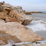 Wingaersheek Beach