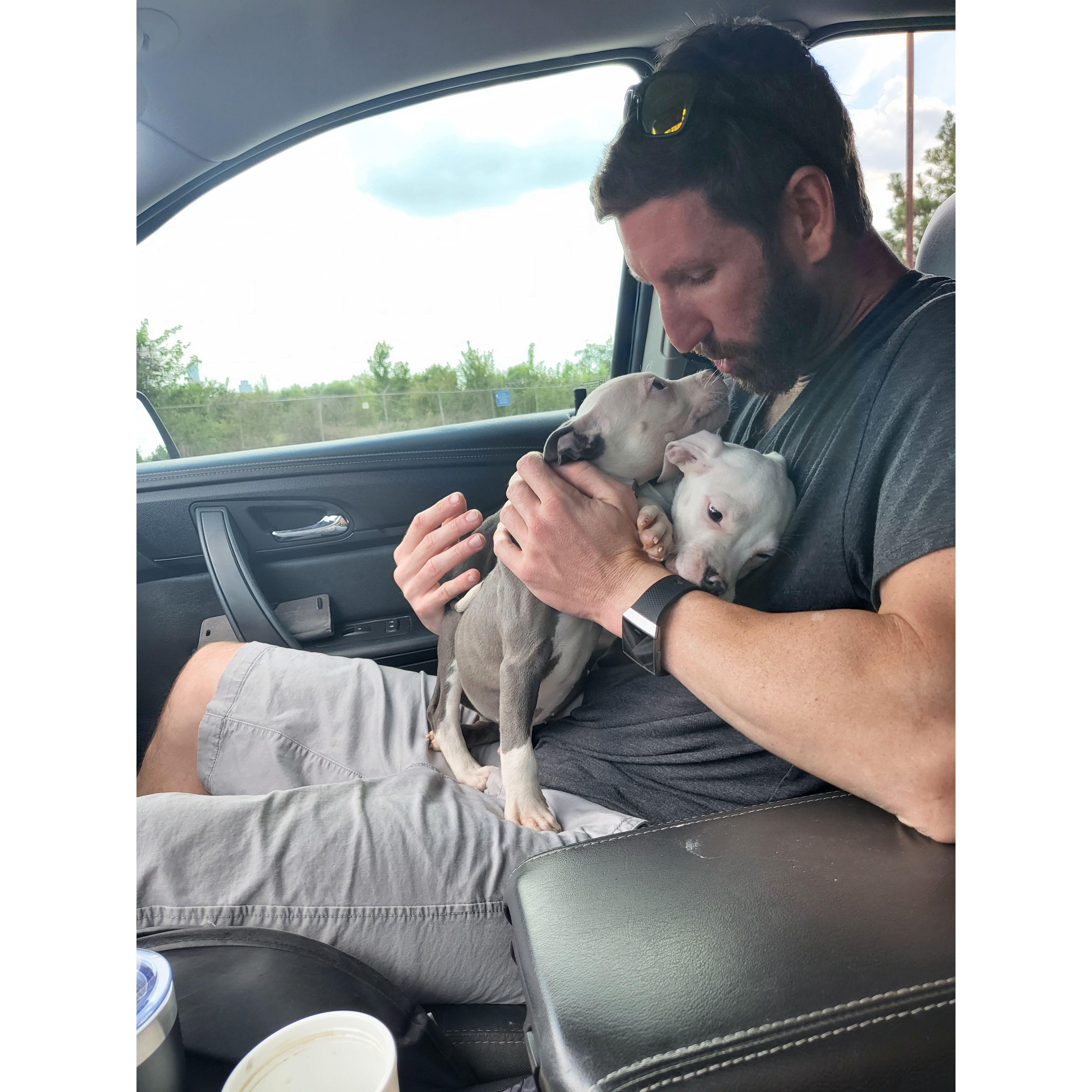 Expanding our family.... the day we brought Bjorn & Bane home. -June 28th, 2022