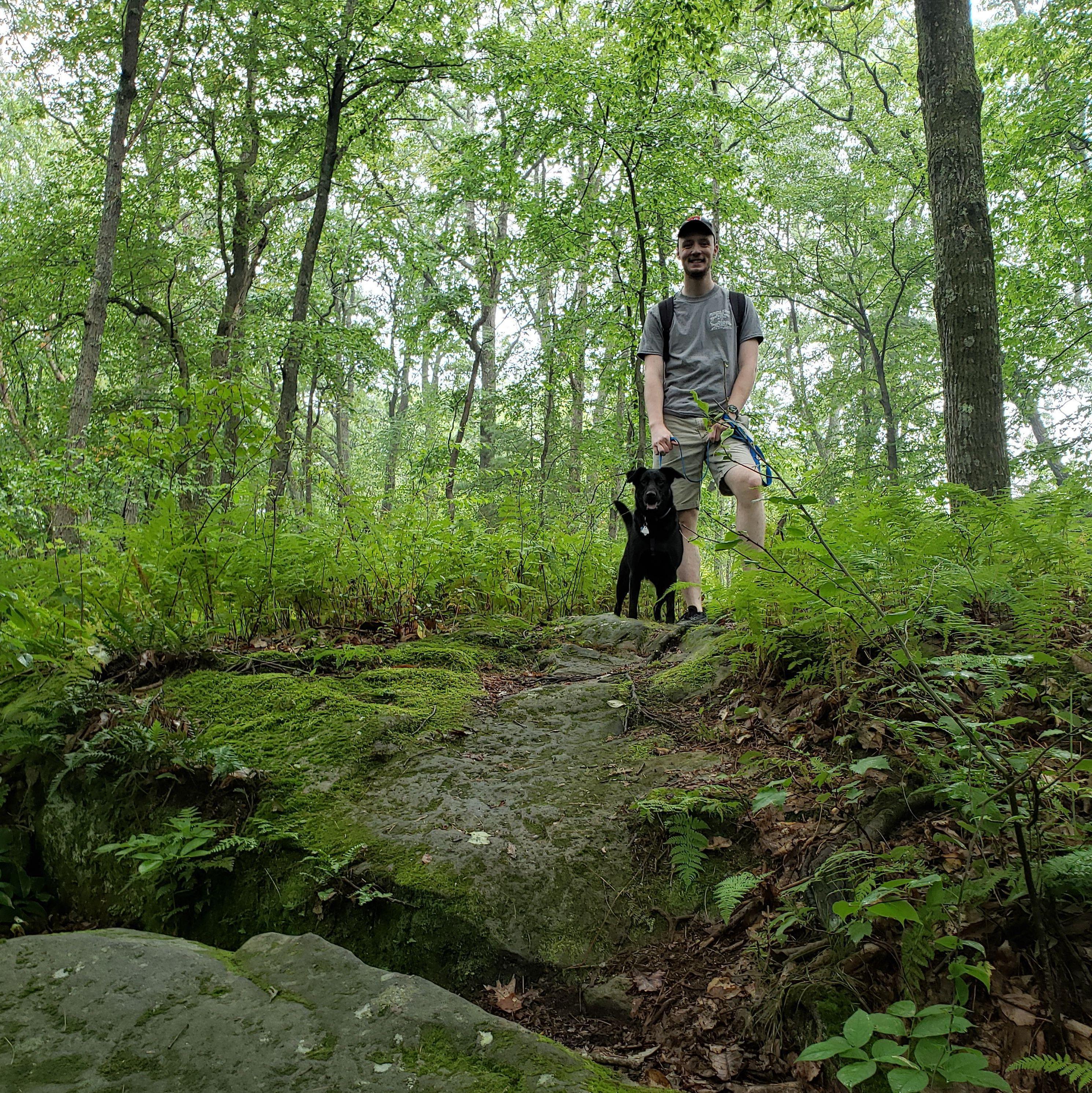 Marlie loved climbing on all the big rocks! Cook Forest State Park, PA 2019