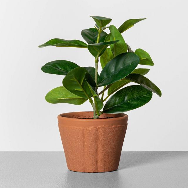 Faux Lemon Plant - Hearth & Hand™ with Magnolia