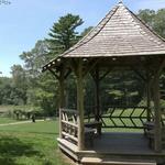 Connecticut College Arboretum Pond