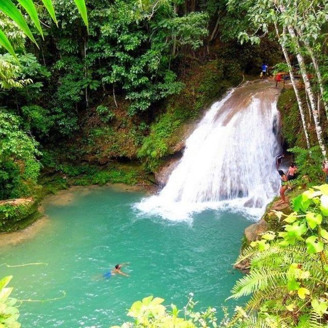 Best of Ocho Rios Tour