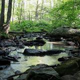 Mass Audubon's Broad Meadow Brook Conservation Center and Wildlife Sanctuary