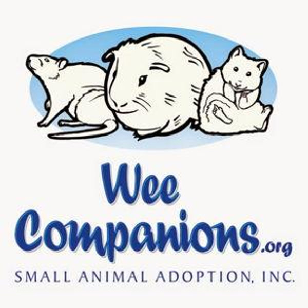 Wee Companions Rescue